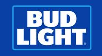 22_budlight_210x115